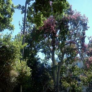 Meet your Posher, Ingrid